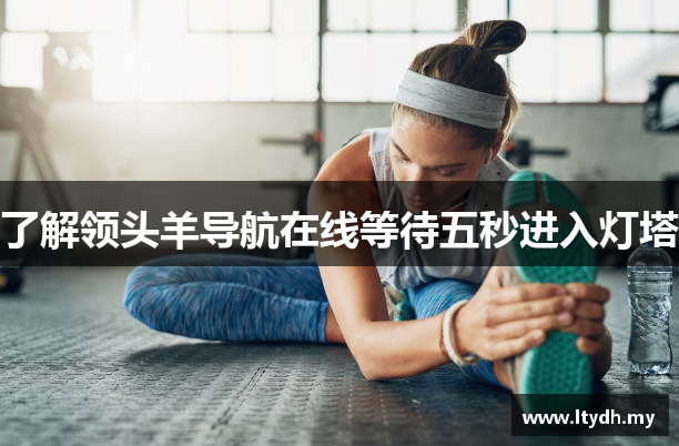 了解领头羊导航在线等待五秒进入灯塔